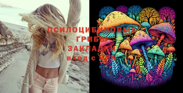 apvp Аркадак