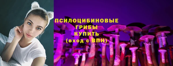apvp Аркадак